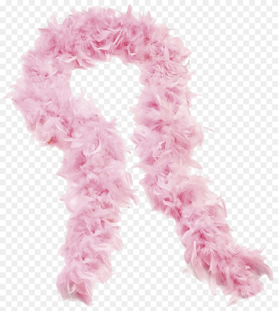 Rose Boa Scarf, Accessories, Feather Boa, Baby, Person Free Png