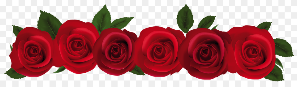 Rose Border Clip Art, Flower, Plant Free Png