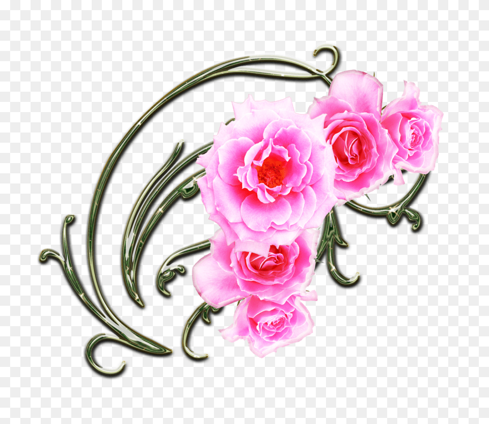 Rose Border Clip Art, Accessories, Plant, Flower, Jewelry Free Png