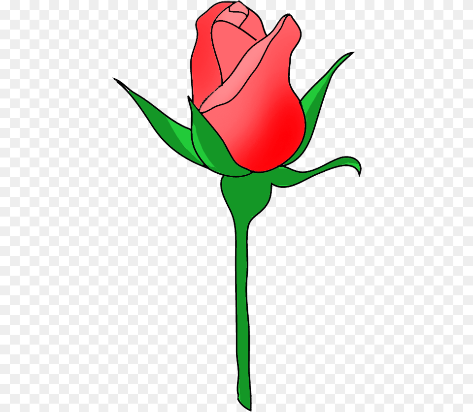 Rose Border Clip Art Rose Bud Clipart, Flower, Plant, Adult, Female Png