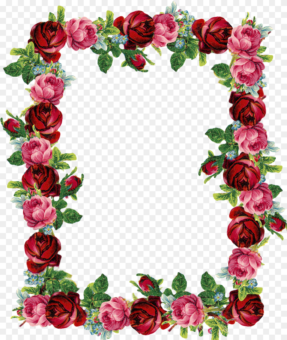 Rose Border Download Clip Art Rose Flower Border Design, Floral Design, Graphics, Pattern, Plant Free Transparent Png