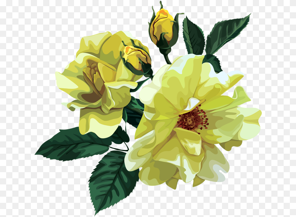 Rose Bouquet Clipart Rose, Flower, Petal, Plant Free Png