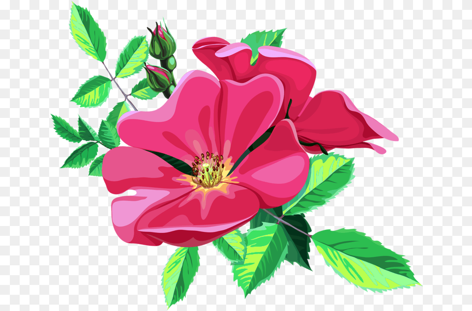 Rose Bouquet Clipart Animated Flower Jpg, Petal, Plant, Anther, Hibiscus Free Transparent Png