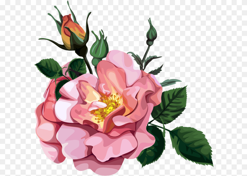 Rose Bouquet Clipart Transparent Flower Transparent Design Clipart, Plant, Petal, Art, Pattern Free Png Download