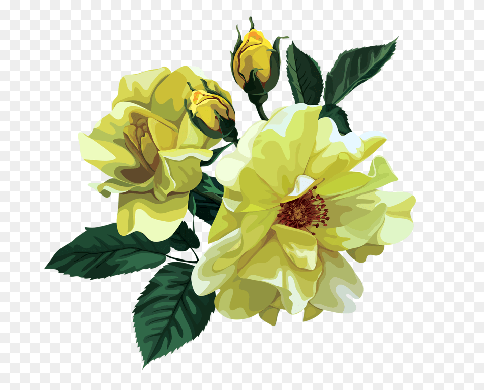 Rose Bouquet Design Patterns Studio Flower, Petal, Plant, Dahlia Free Transparent Png