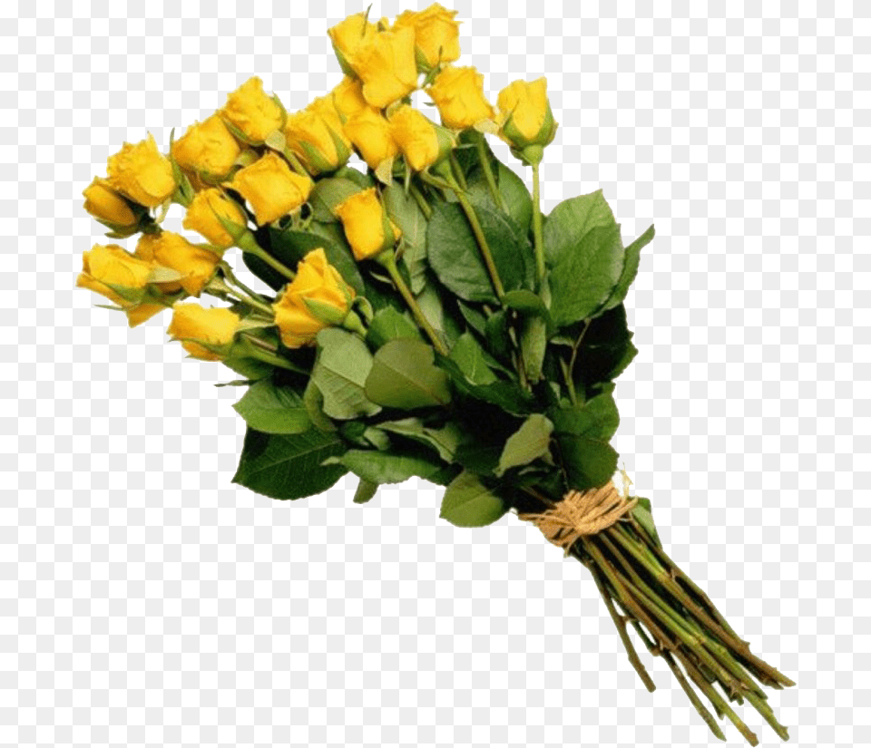 Rose Bouquet Free Download Flower Bouquet, Flower Arrangement, Flower Bouquet, Plant Png Image