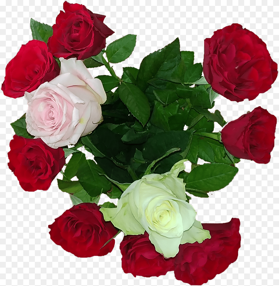 Rose Bouquet Love Picture, Flower, Flower Arrangement, Flower Bouquet, Plant Png Image