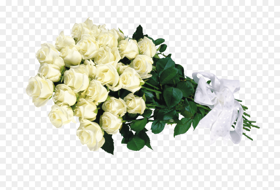 Rose Bouquet Transparent Bunch Of White Rose, Flower, Flower Arrangement, Flower Bouquet, Plant Free Png