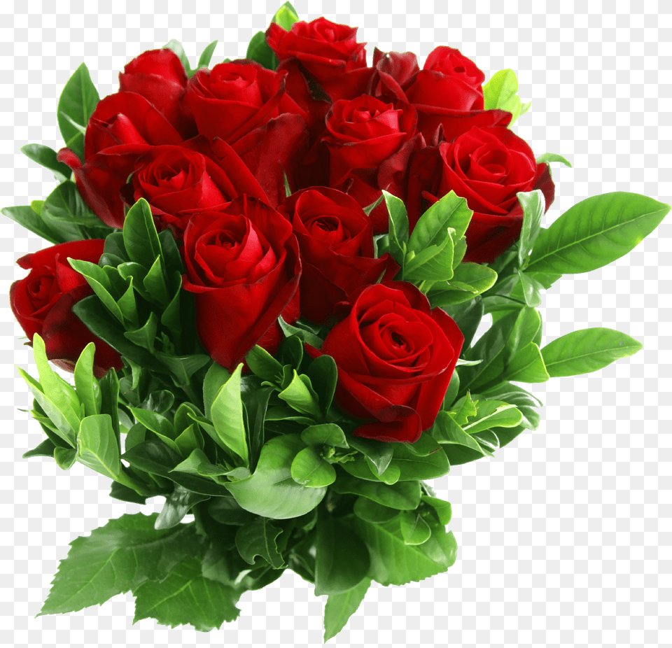 Rose Bouquet Transparent Clipart Red Rose Flower Hd, Flower Arrangement, Flower Bouquet, Plant Free Png Download