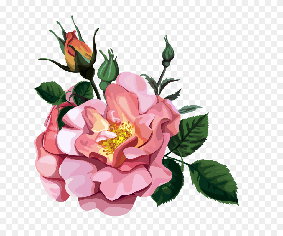 Rose Bouquet Transparent Design Patterns Studio, Flower, Plant, Dahlia, Petal Png