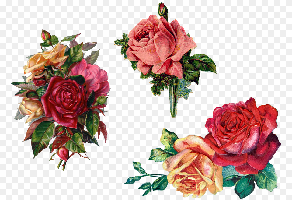 Rose Bouquet Vintage, Flower, Plant, Pattern, Art Free Png