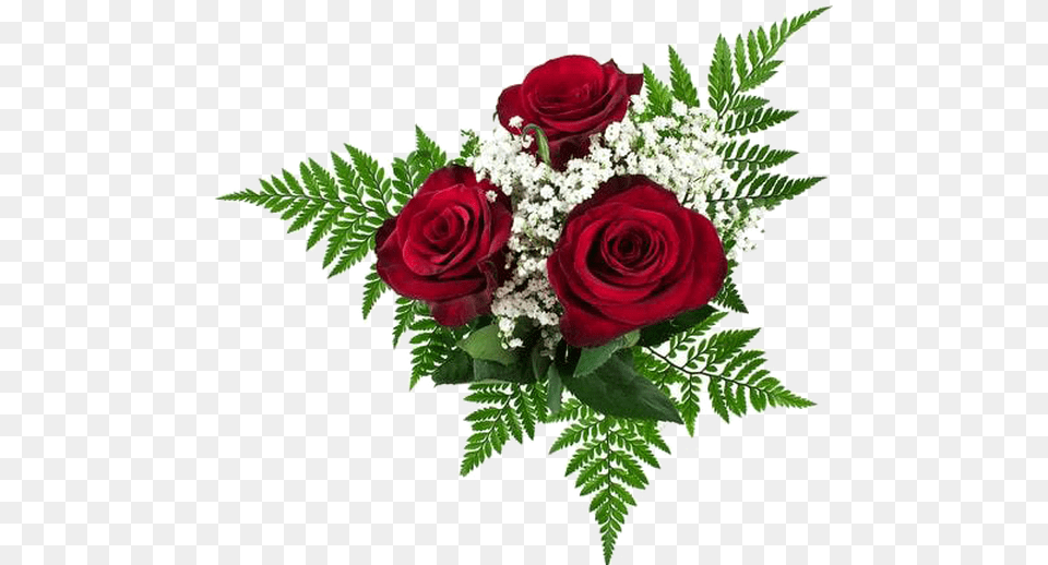 Rose Bouquets, Flower, Flower Arrangement, Flower Bouquet, Plant Free Transparent Png