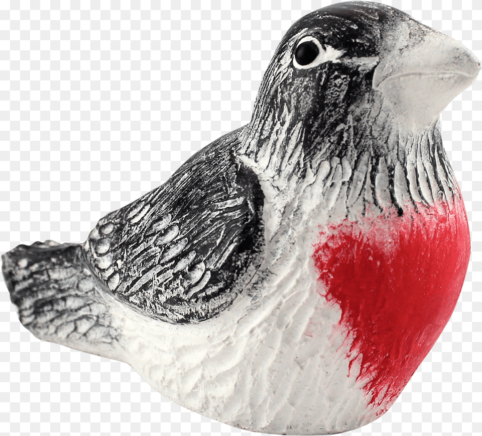 Rose Breasted Grosbeak, Animal, Beak, Bird, Finch Png Image
