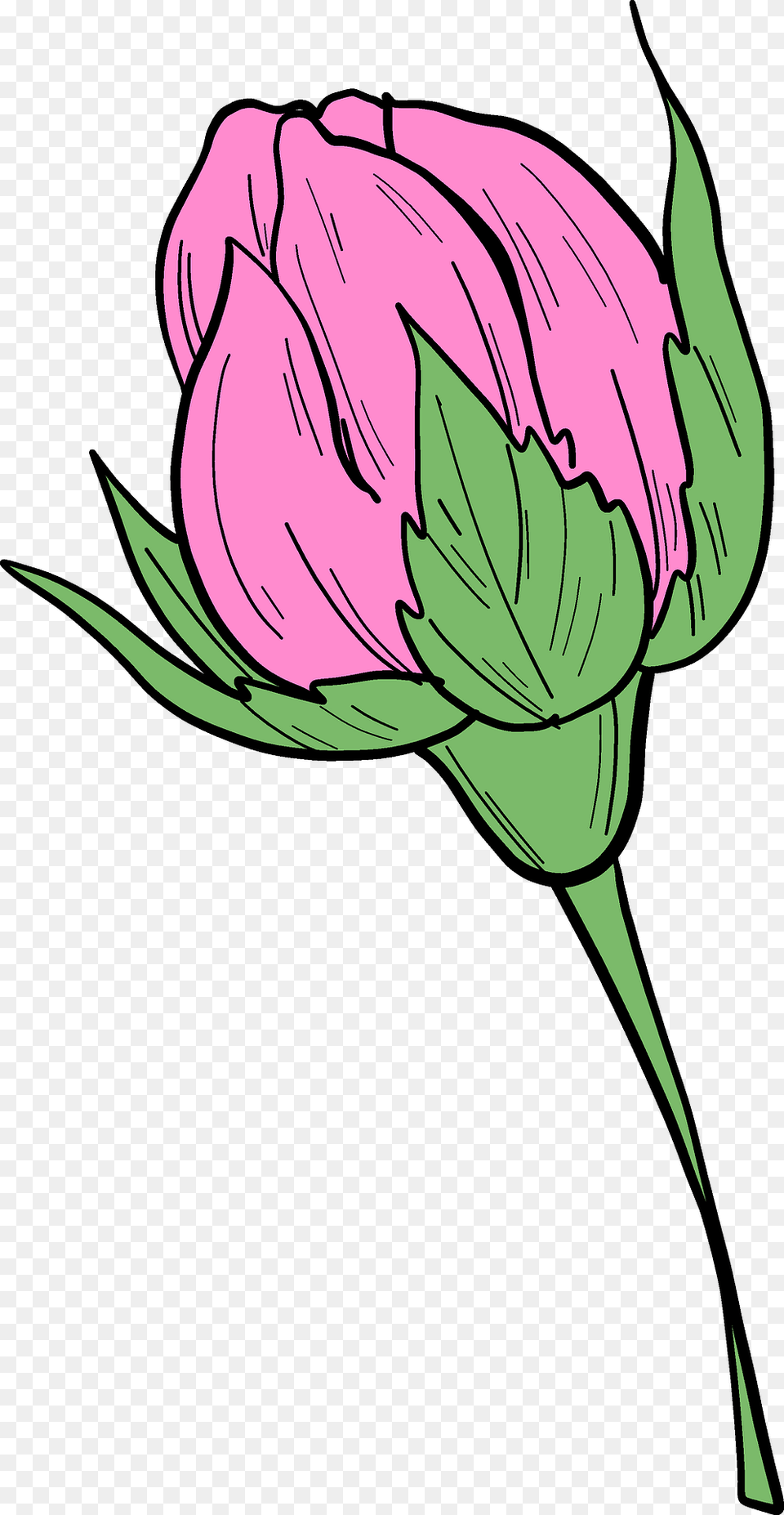 Rose Bud Clipart, Flower, Plant, Carnation, Art Free Png Download