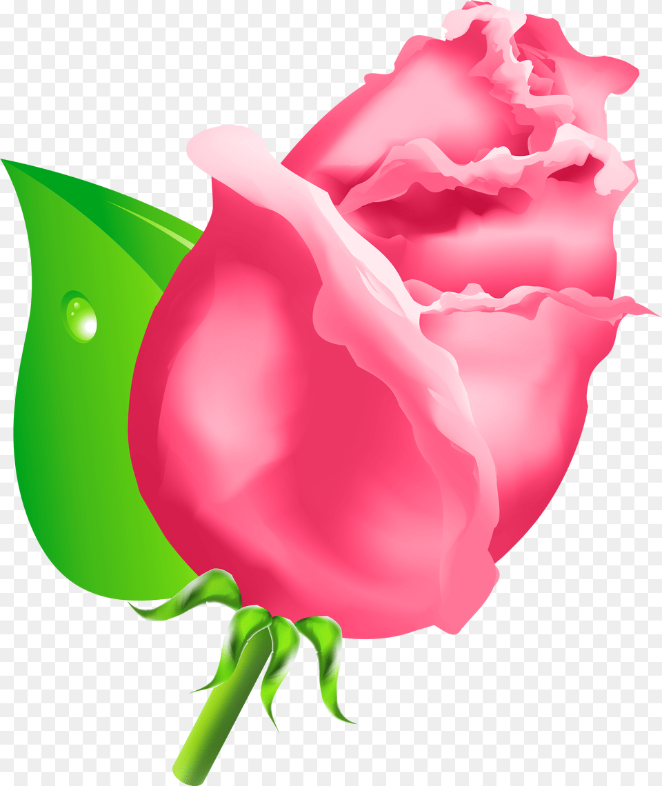 Rose Bud Clipart Rose Bud Clip Art, Flower, Plant, Carnation Free Transparent Png