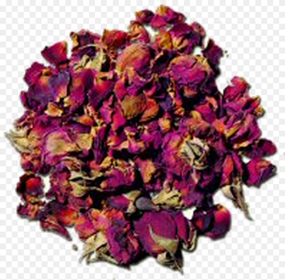 Rose Buds And Petals Herbal Loose Tea Garden Roses, Plant, Petal, Flower, Flower Arrangement Free Png