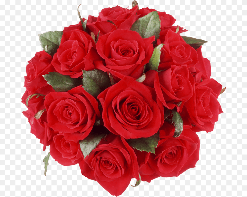 Rose Bunch Bouquet Of Flowers For Birthday, Flower, Flower Arrangement, Flower Bouquet, Plant Free Transparent Png