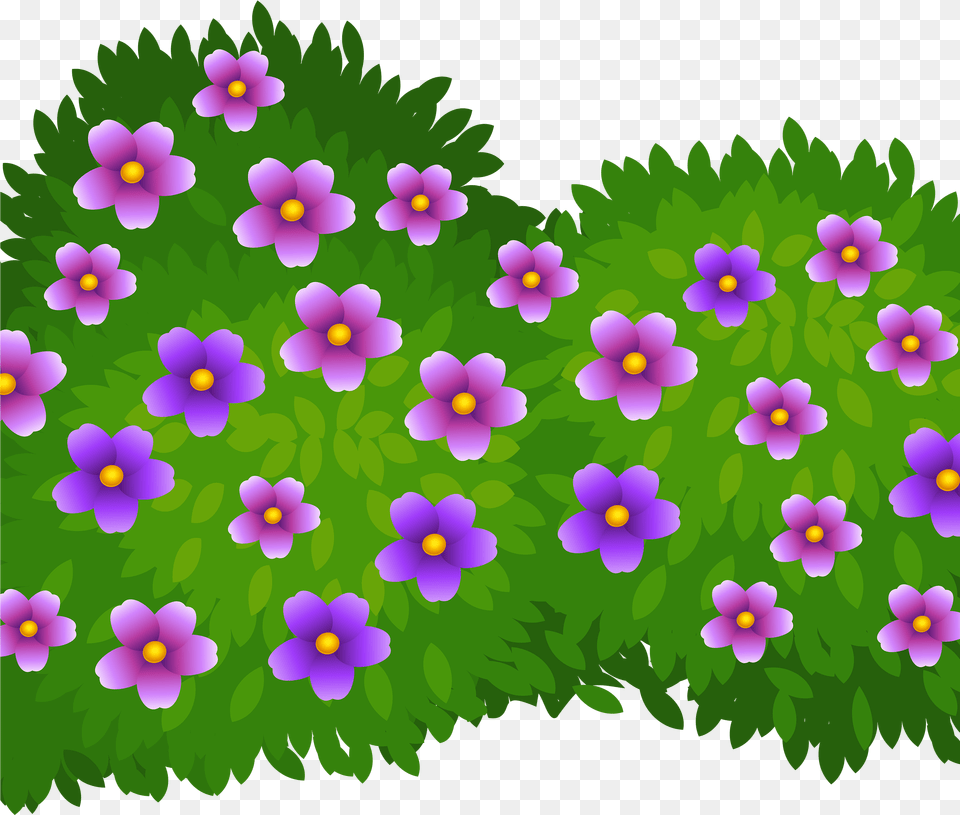 Rose Bush Clipart, Anemone, Plant, Purple, Flower Free Transparent Png