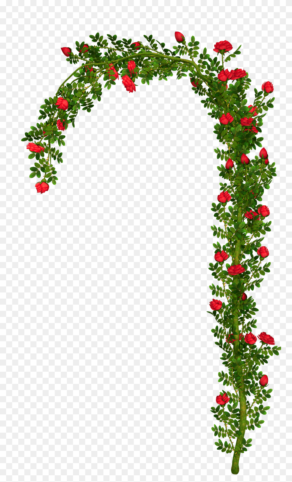 Rose Bush Clipart Clip Art Rose, Arch, Architecture, Flower, Plant Free Png