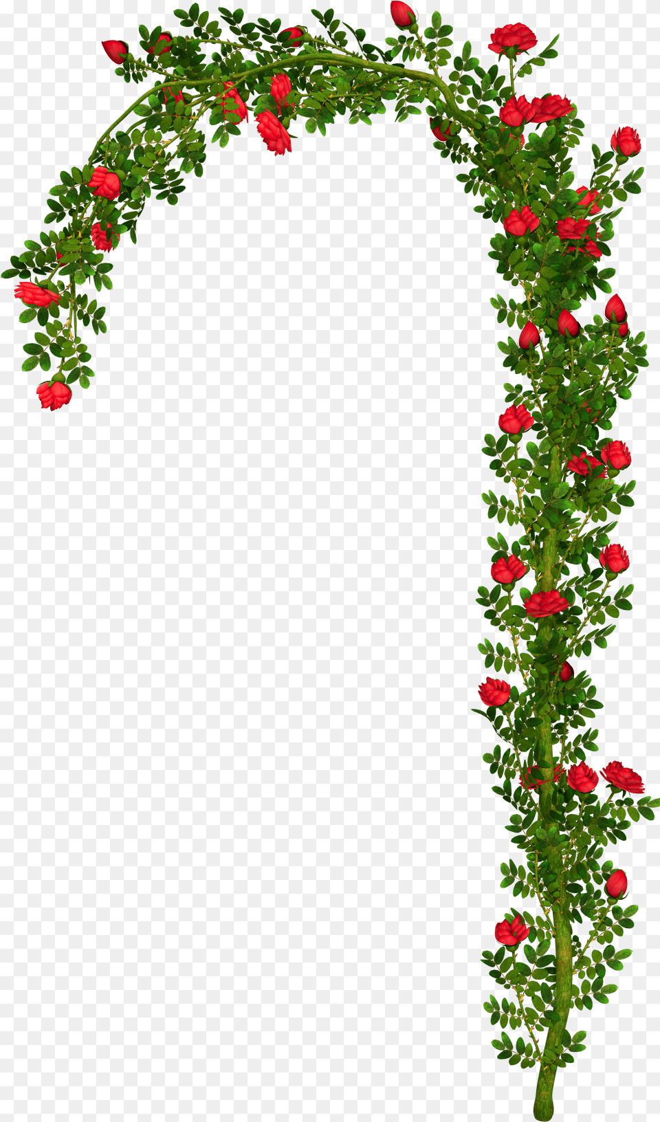 Rose Bush Clipart Clip Art Rose Flower Arch, Plant, Architecture, Flower Arrangement, Geranium Free Png Download