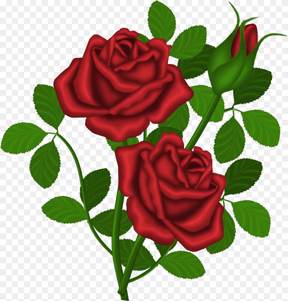 Rose Bush Clipart Dozen Red Roses Roses Clipart, Flower, Plant Free Transparent Png