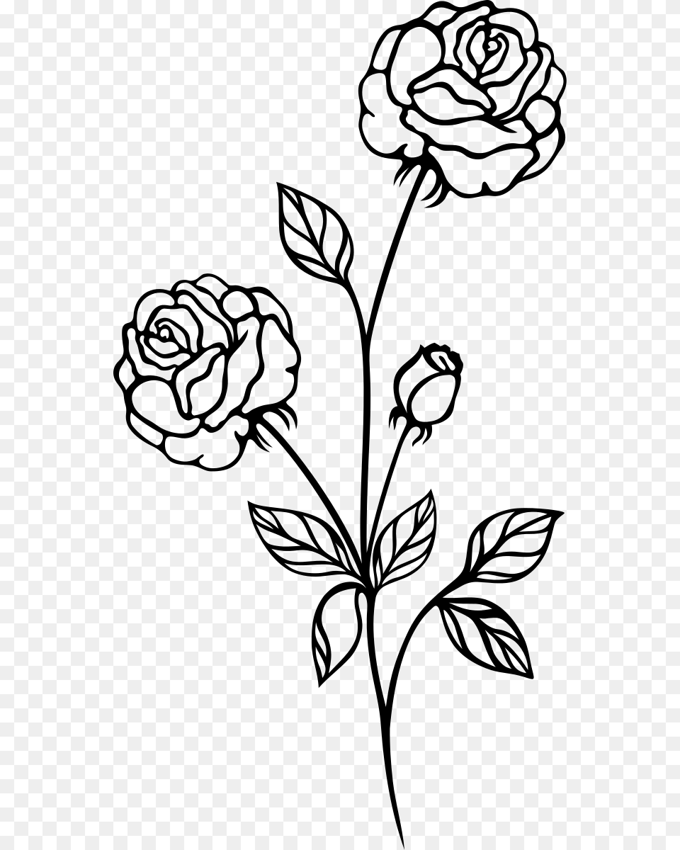 Rose Bush Clipart Santan Flower Black And White, Gray Free Png