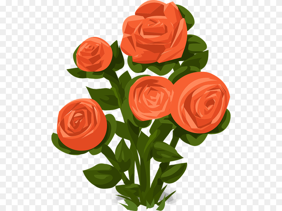 Rose Bush Roses Orange Rose Bush Clip Art, Flower, Plant, Flower Arrangement, Flower Bouquet Free Transparent Png