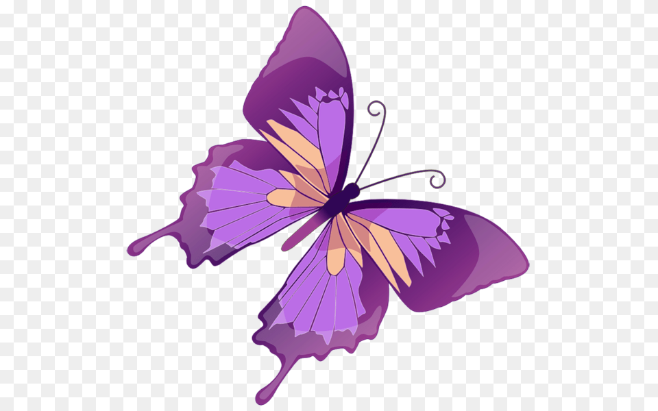 Rose Butterfly Clipart, Flower, Plant, Purple, Petal Png Image