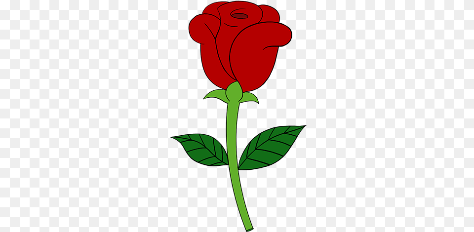 Rose Cartoon Drawing How To Draw A Flowers Bouquet Simple Red Rose Flower Drawing, Plant, Dynamite, Weapon Free Png