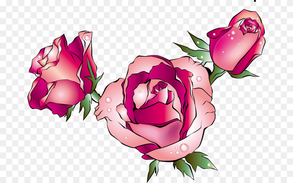 Rose Cartoon Garden Roses, Flower, Plant, Art, Graphics Png Image