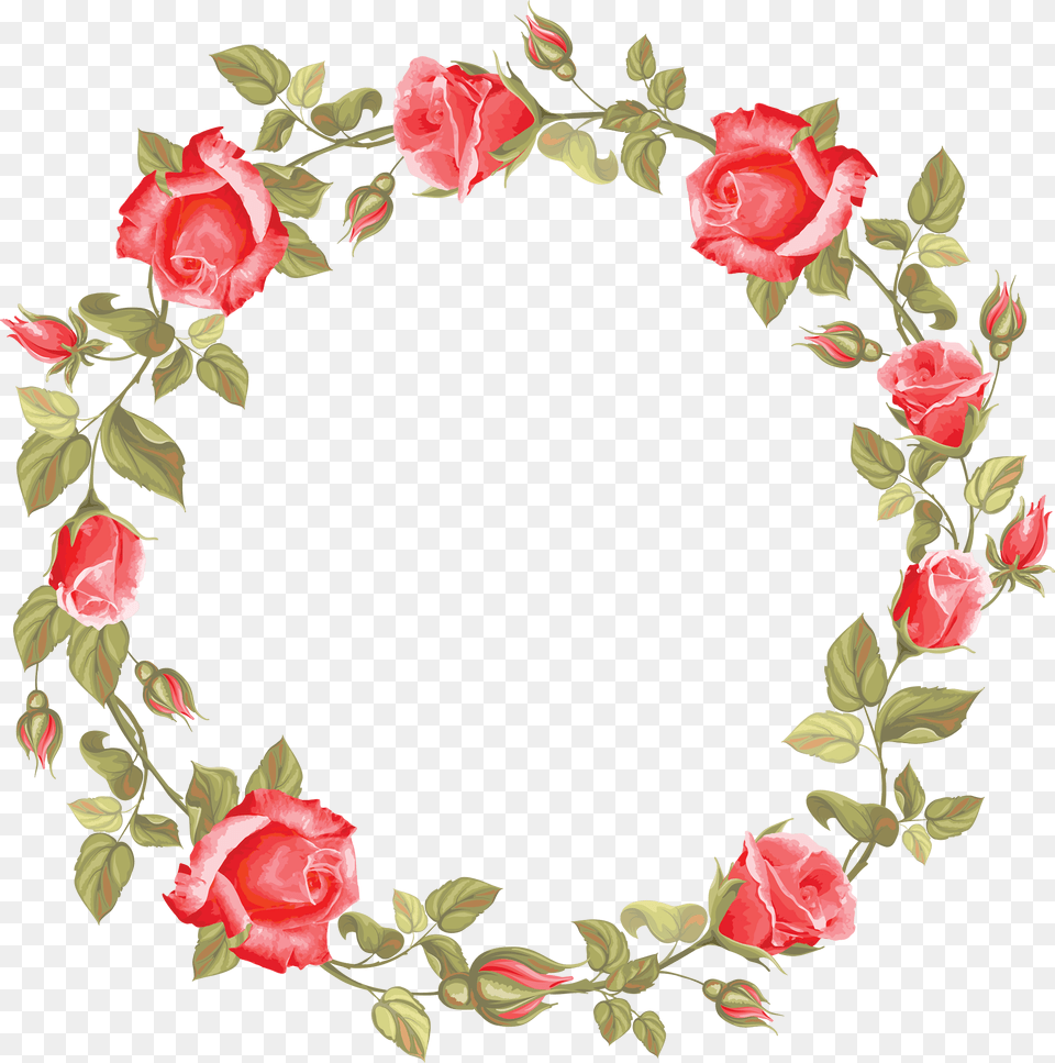 Rose Circle Frame, Art, Floral Design, Flower, Graphics Free Png