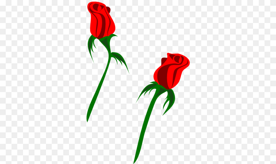 Rose Clip Art, Flower, Plant, Dynamite, Weapon Free Png