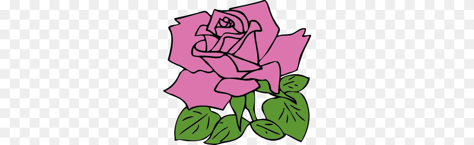Rose Clip Art, Flower, Plant, Leaf, Dynamite Png Image