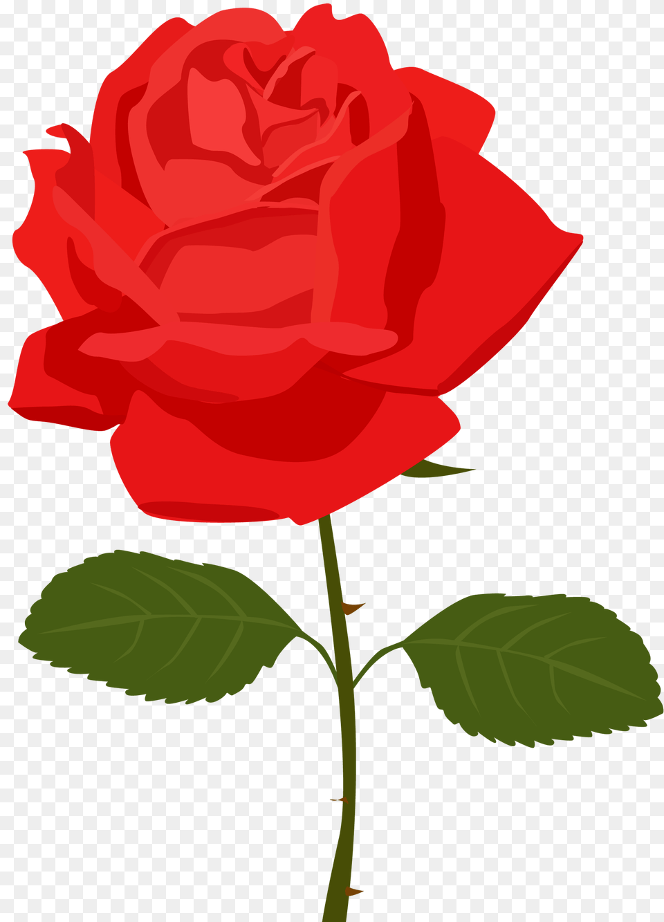 Rose Clip Art, Flower, Plant, Leaf, Dynamite Free Png Download