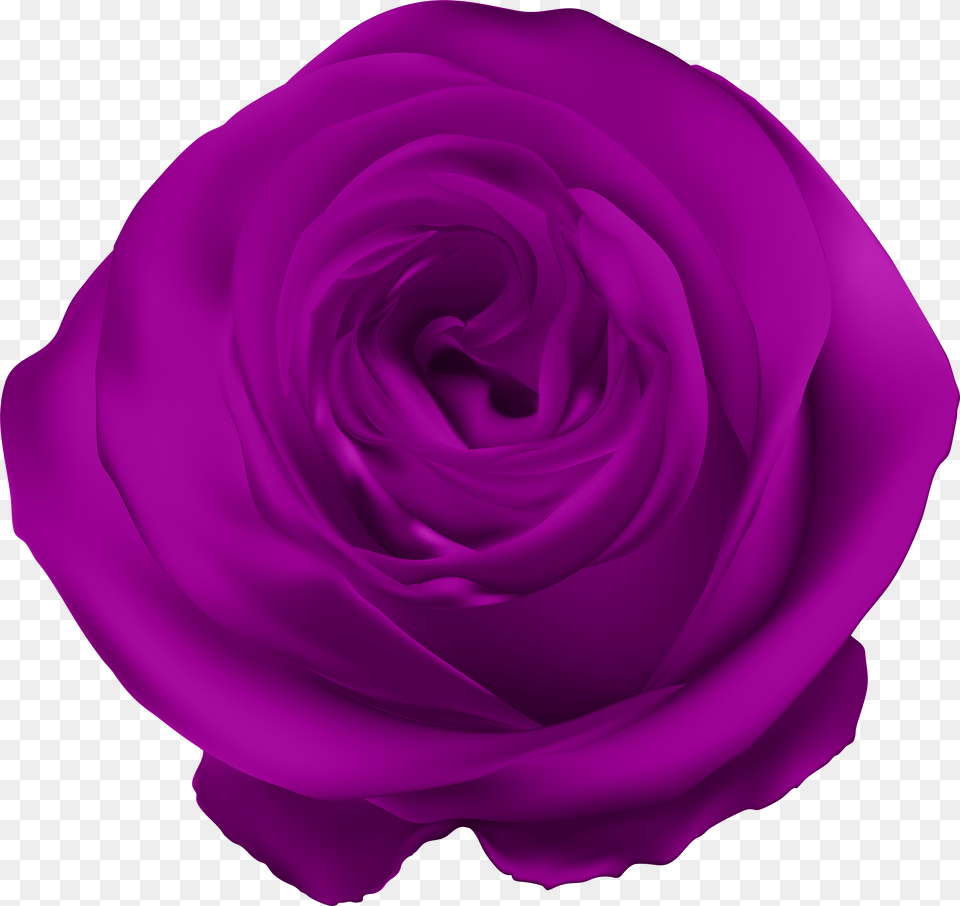 Rose Clip Art Gallery Free Transparent Png