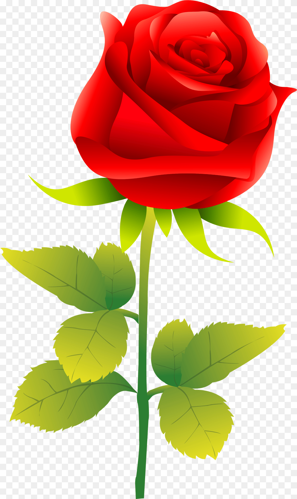Rose Clip Art Rose Vector, Flower, Plant Png