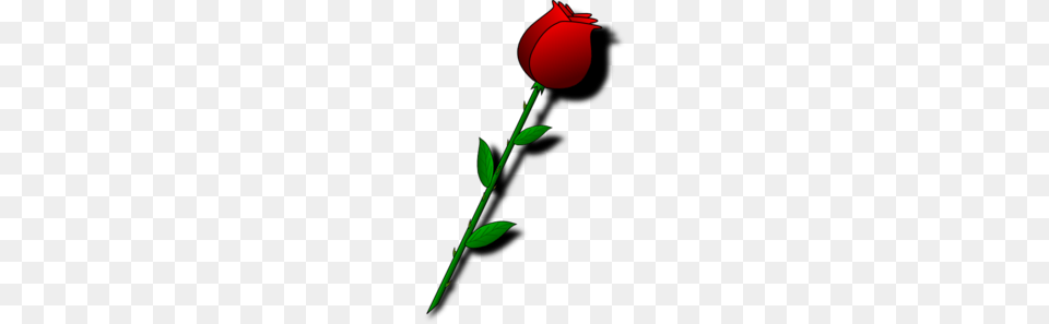 Rose Clip Art Single, Flower, Plant, Petal Free Png
