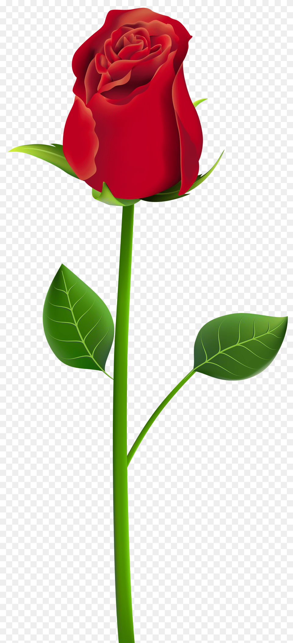 Rose Clip Art Transparent, Flower, Plant, Cross, Symbol Png