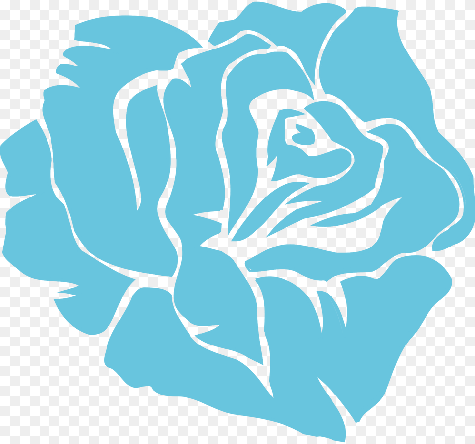 Rose Clipart, Carnation, Flower, Plant, Baby Free Png