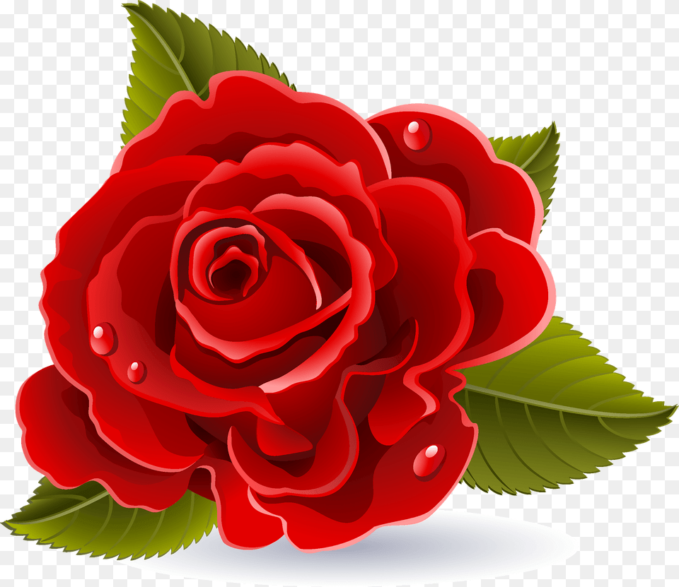 Rose Clipart, Flower, Plant Free Png