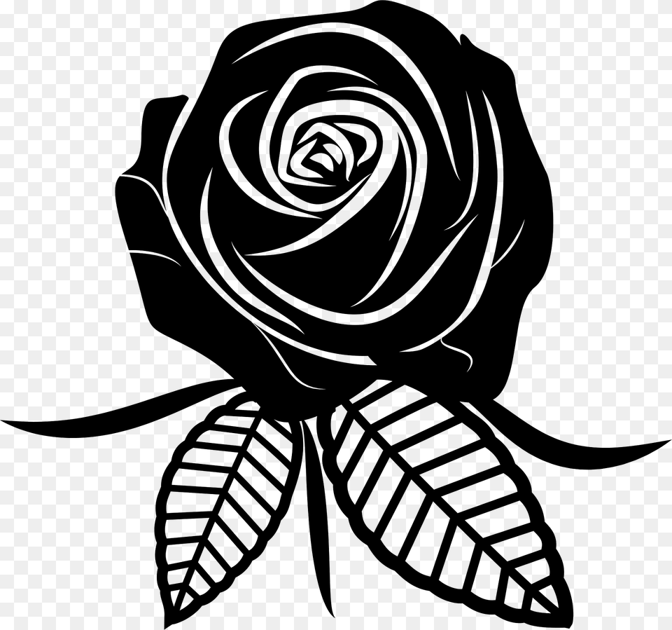 Rose Clipart, Flower, Plant, Person Png Image