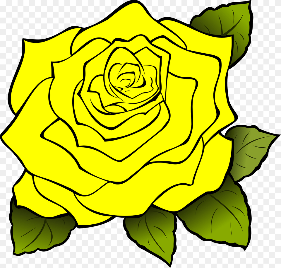 Rose Clipart, Flower, Plant, Petal, Baby Png Image