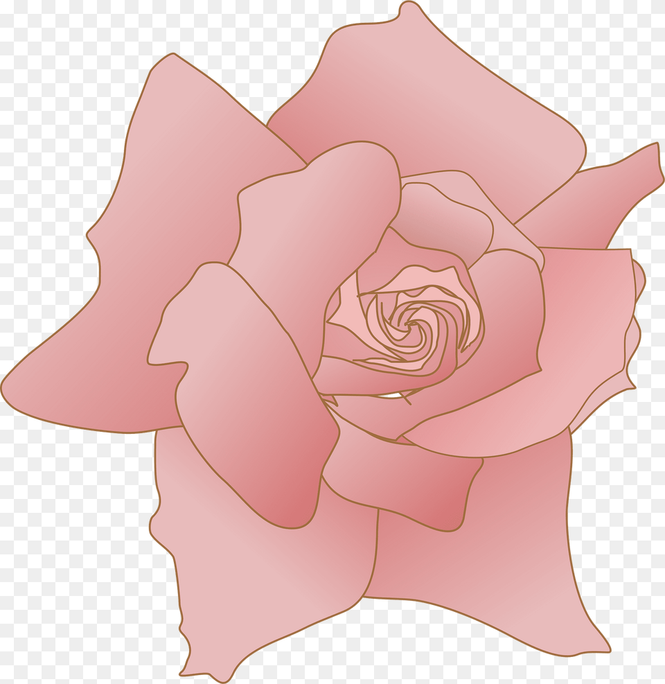 Rose Clipart, Flower, Petal, Plant Free Png Download
