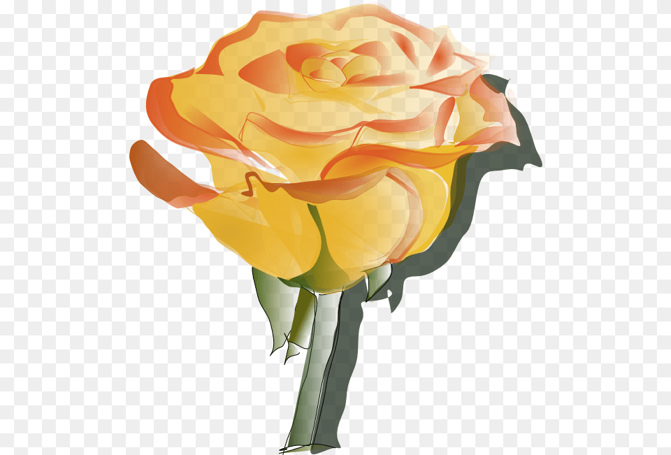 Rose Clipart Animations And Vectors Yellow Rose Tattoo Designs, Flower, Plant, Person, Petal Png