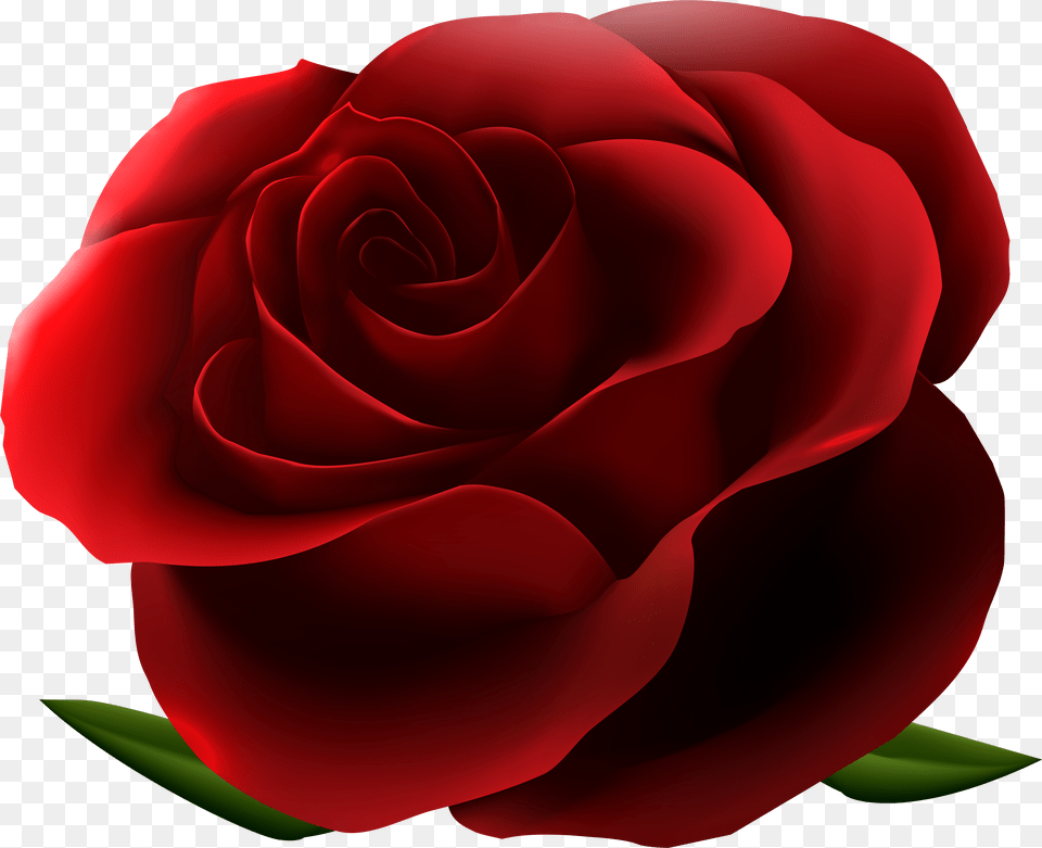 Rose Clipart Background Red Roses Background Png Image