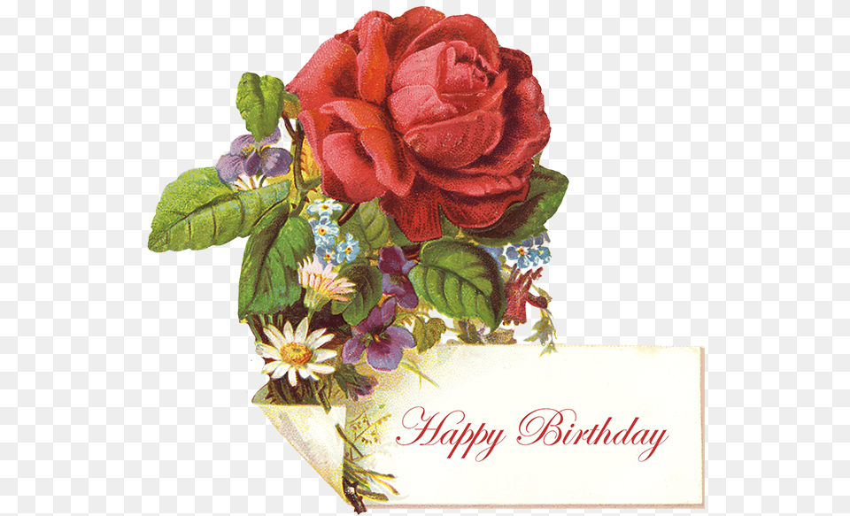 Rose Clipart Birthday Vintage Birthday Messages, Plant, Flower, Flower Arrangement, Flower Bouquet Png Image