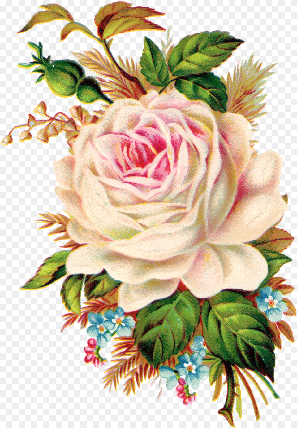 Rose Clipart Bucket Vintage Rose Clip Art, Plant, Pattern, Graphics, Flower Png Image