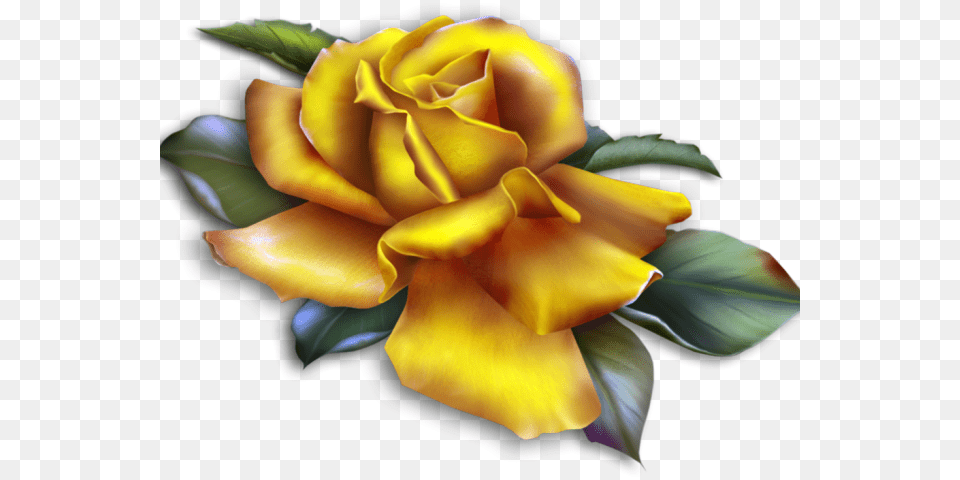 Rose Clipart Emoji, Flower, Petal, Plant Png Image