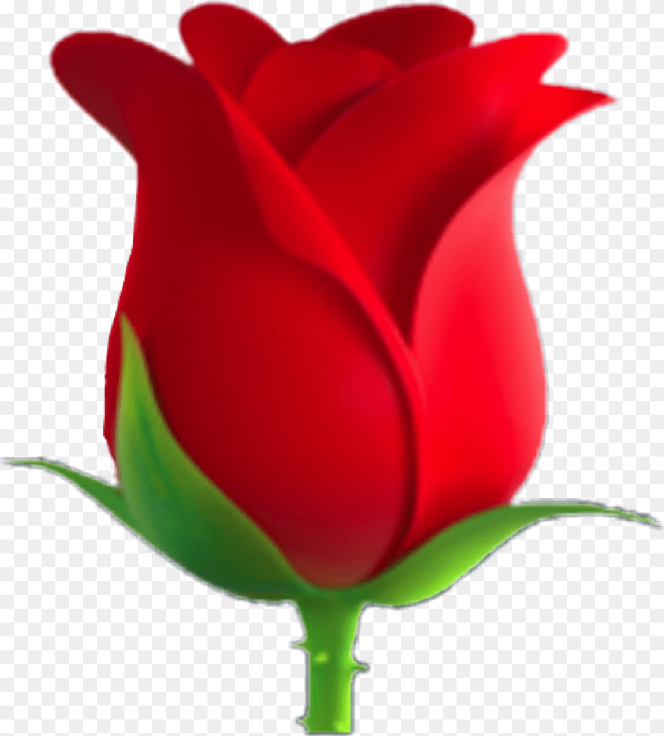 Rose Clipart Emoji Rose Flower Emoji Plant Free Transparent Png