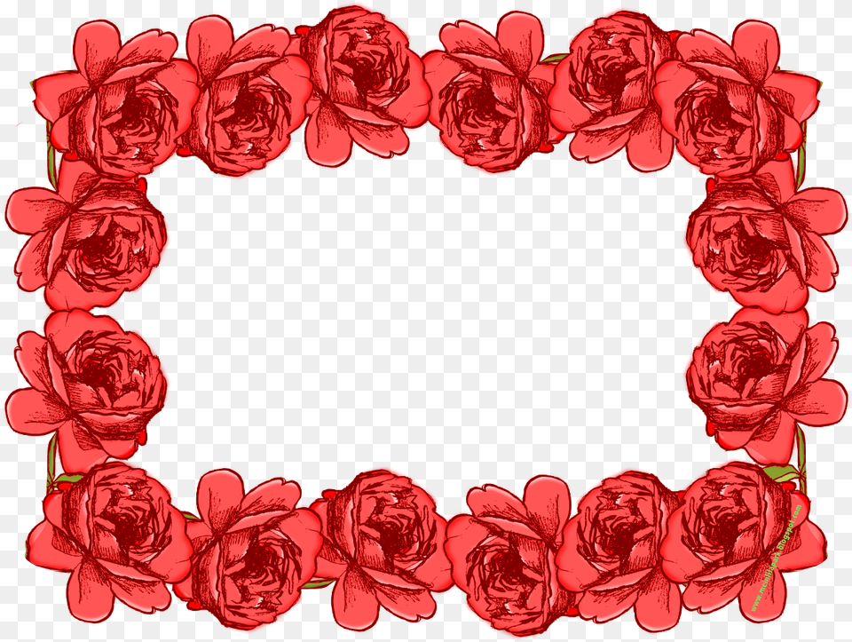Rose Clipart Frame Transparent, Flower, Plant Png